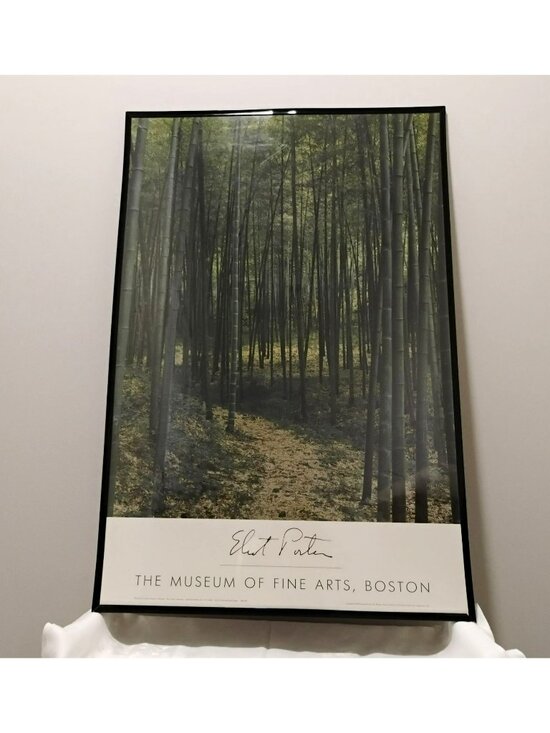 Eliot Porter Other - Vintage Eliot Porter Framed Bamboo Forest Museum Poster - 36" Large Wall Art